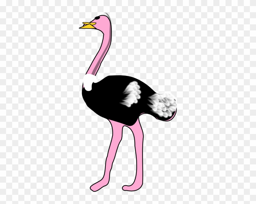 Ostrich Clip Art At Clker - Clip Art Picture Of Ostrich #298290