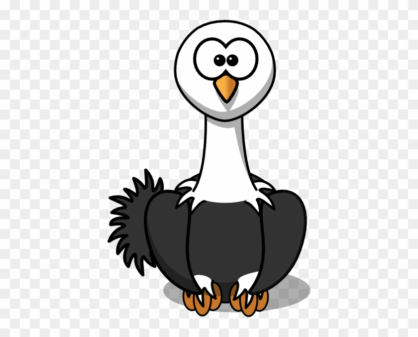 Head Clipart Ostrich - Cartoon Ostrich Png #298292