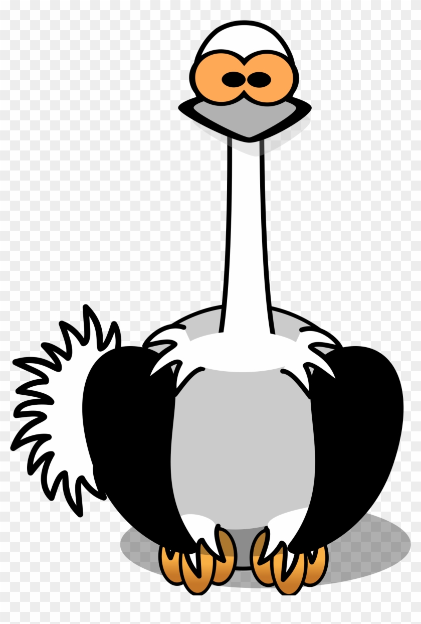 Clip Art Ostrich - Cartoon Ostrich #298301