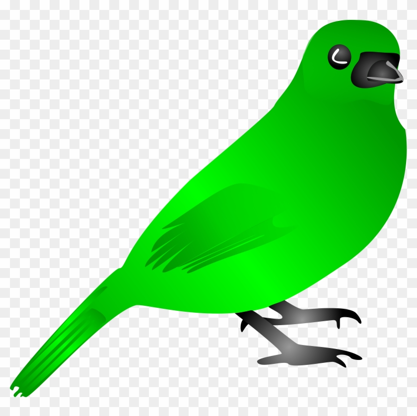 bird sound clipart free