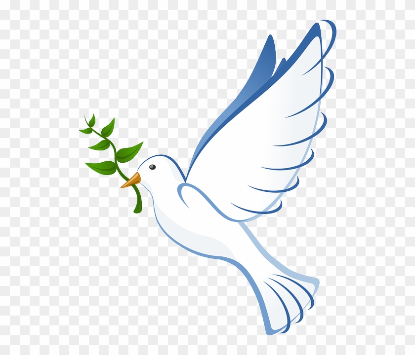 Dove, Flying, Peace, Olive, Branch, Symbol, Pigeon - Batak Christian Protestant Church #298348