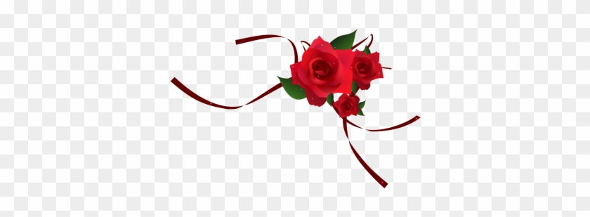 Png Red Rose Border, Red, Red Rose, Red Rose Vector - Portable Network Graphics #298422
