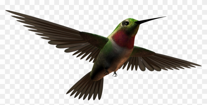 Free High Resolution Graphics And Clip Art - Clip Art #298455