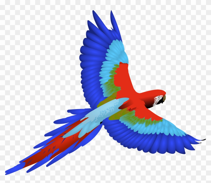 Flying Parrot Clipart #298531