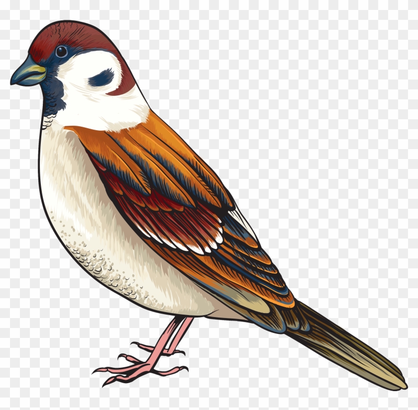 Bird Png Clipart - Bird Clipart Png #298575
