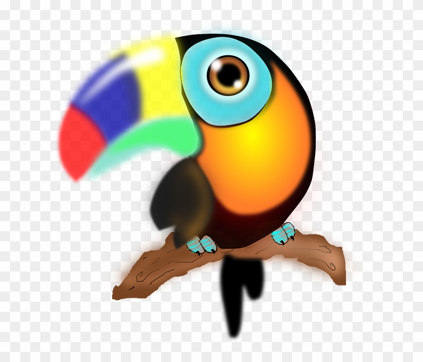 Bird, Parrot, Colorful, Beak - Tucan Caricatura Png #298573