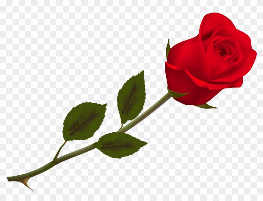 Transparent Beautiful Red Rose Png Picture - Rose Png #298591