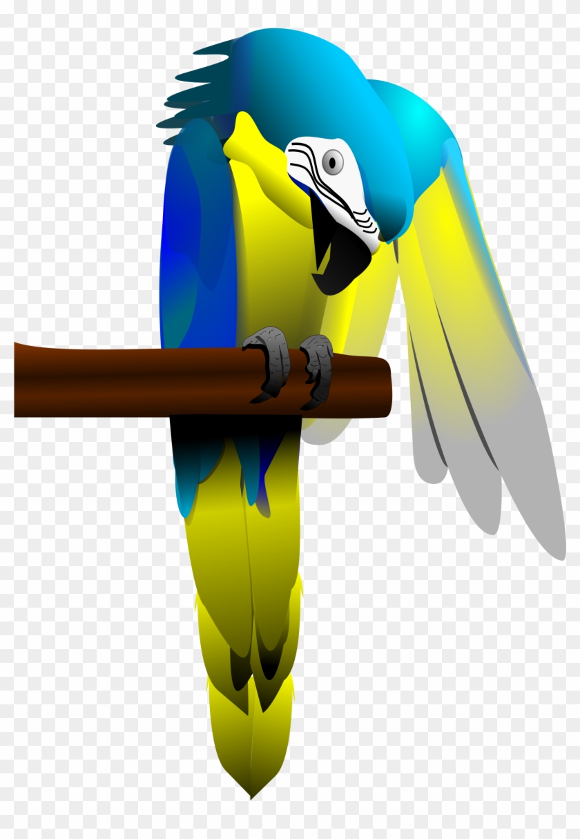 And Yellow Macaw Parrot - Blue-and-yellow Macaw #298599