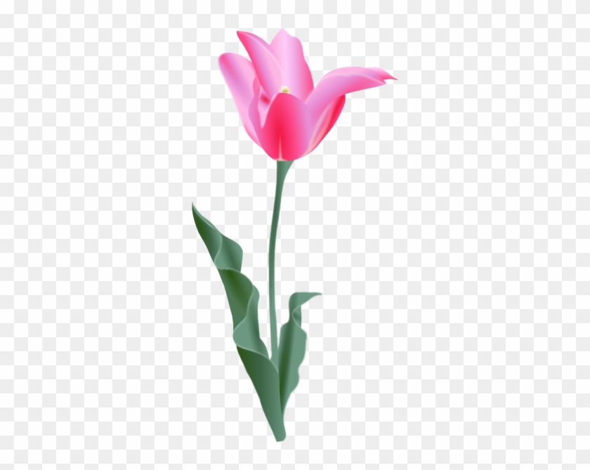 Tulip Clip Art At Clker - Tulip Clip Art #298603