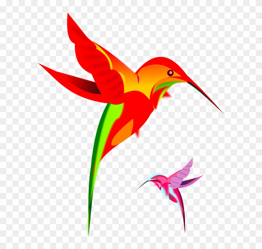 Flying Parrot Clipart 23, - Desenho De Beija Flor #298609