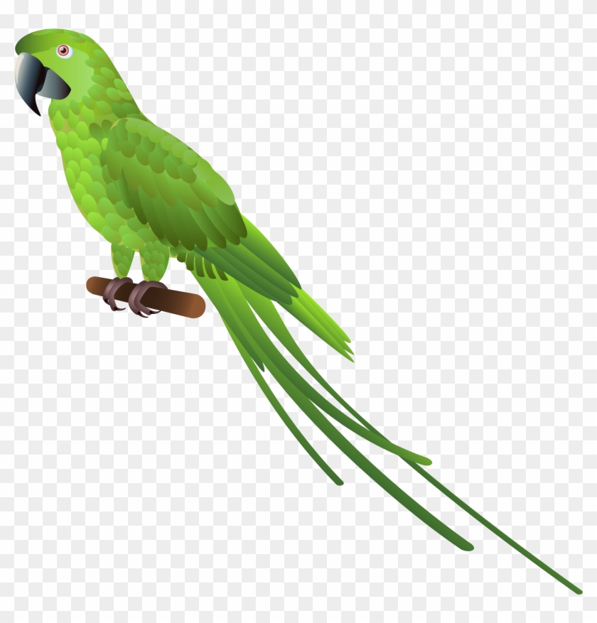 Flying Green Parrot Clipart Magicheft