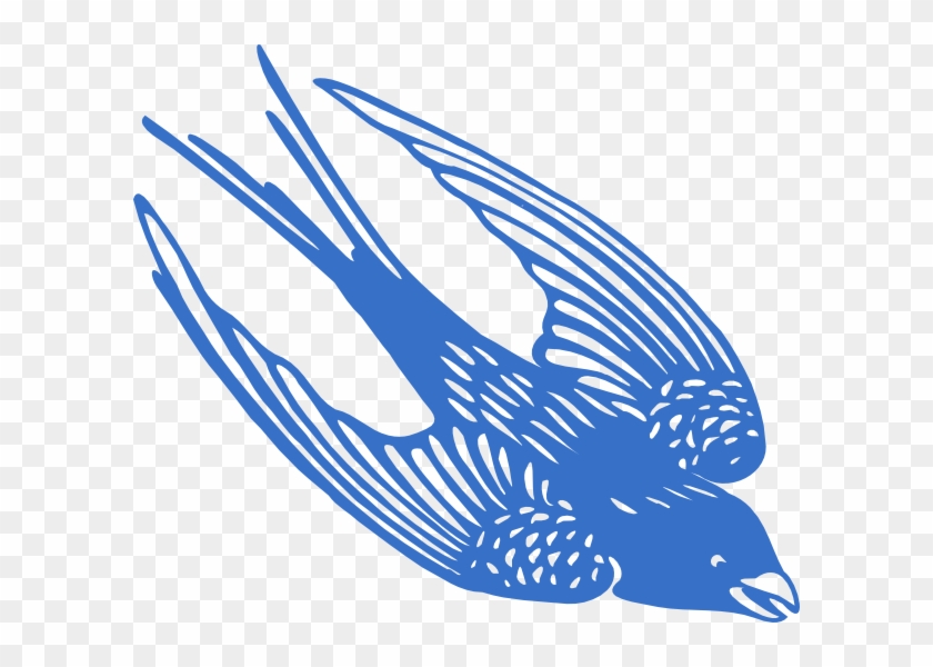 Cartoon Blue Jay Images - Blue Bird Vector #298645