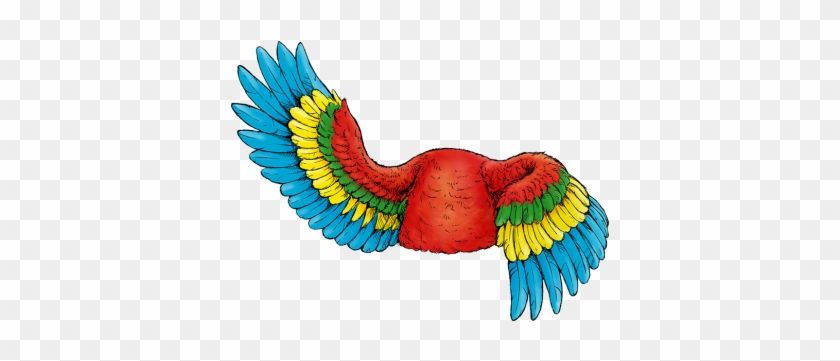 Parrot Clipart Body Part - Macaw #298728