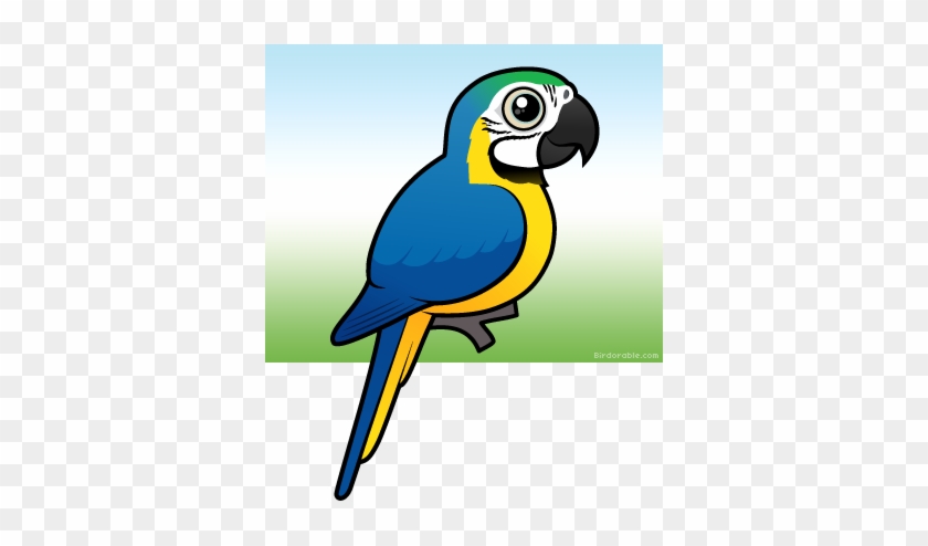 Blue And Yellow Macaw Clipart - Blue And Gold Macaw Clipart #298729