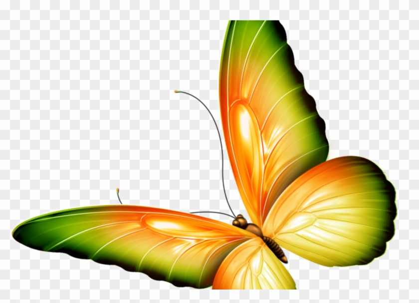 Yellow And Green Transparent Butterfly Clipart By Zwyklaania - Butterfly Transparent Green #298737