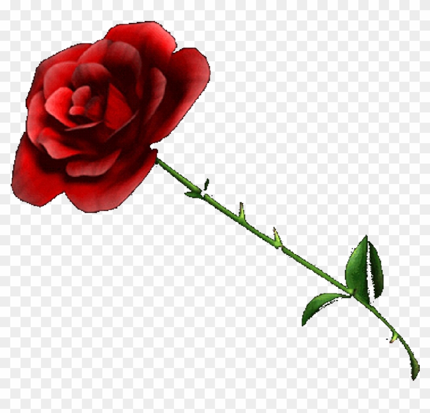 Rose - Red Rose Transparent Background #298824