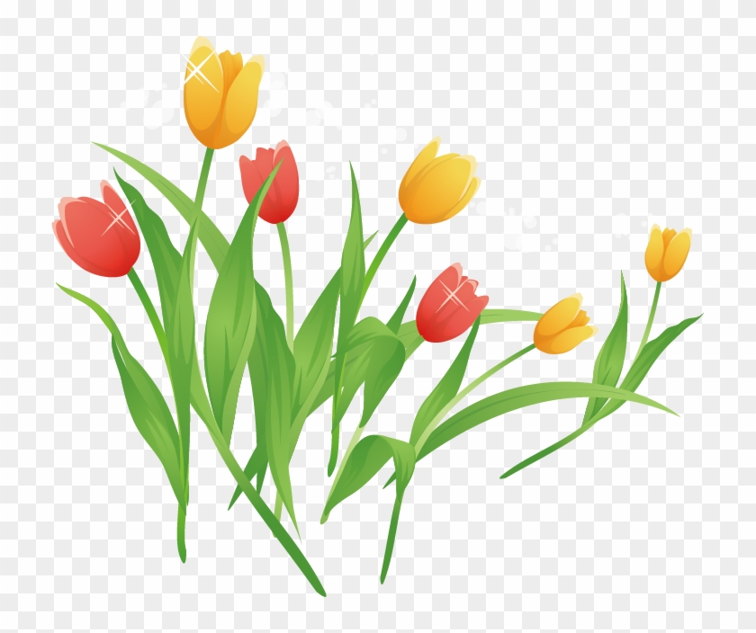 Tulip Cartoon Clip Art - Tulip Cartoon #298863