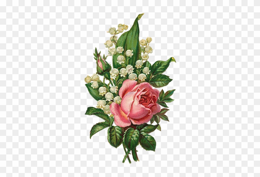 Draw Flowersbotanical Flowersvintage - Lily Of The Valley And Rose #298896