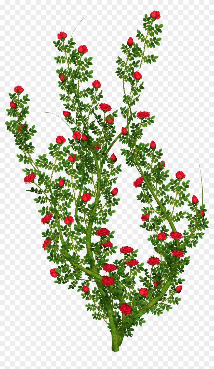 0, - Flower Bush Clip Art #298939