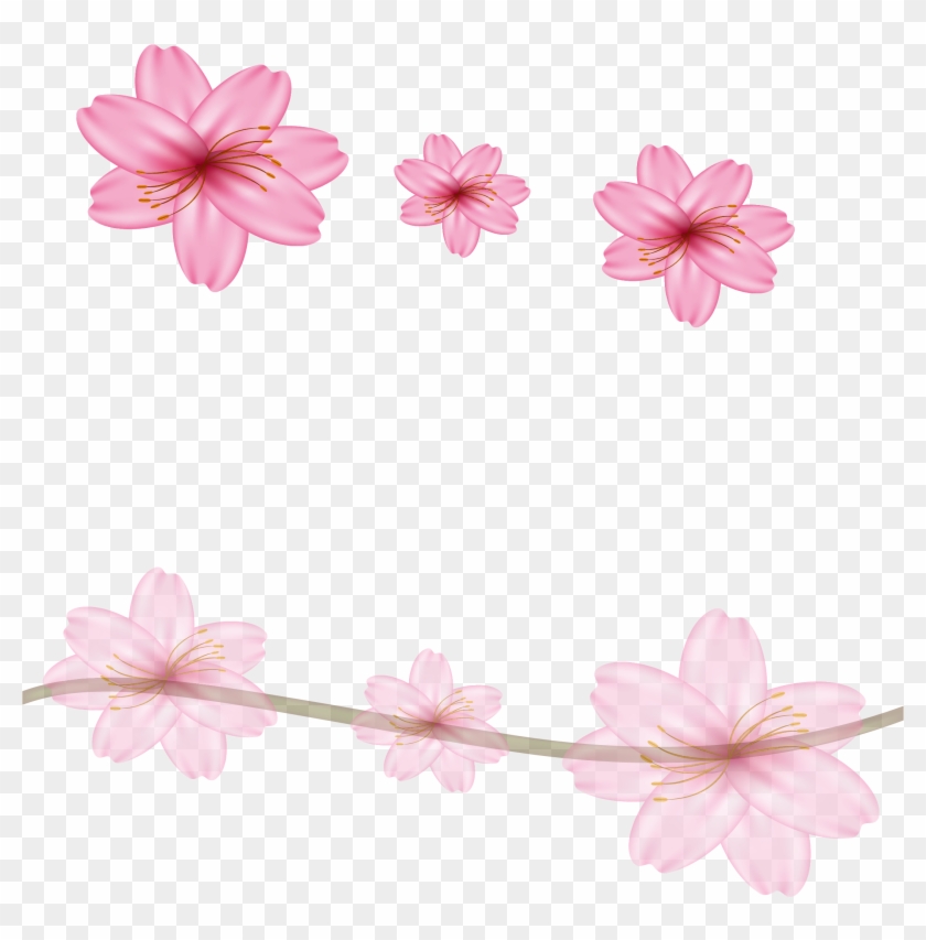 Floral Design Cherry Blossom Flower - Floral Design Cherry Blossom Flower #299032