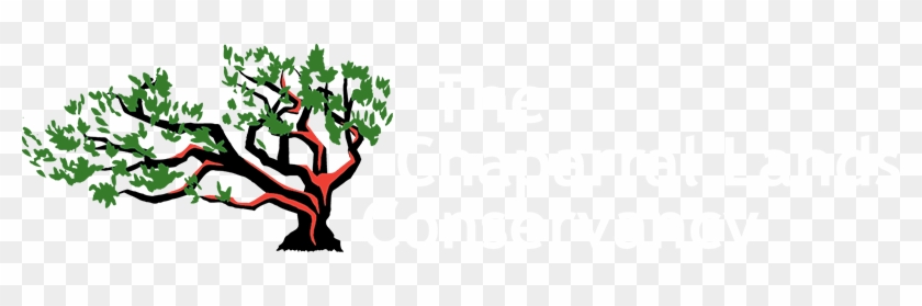The Chaparral Lands Conservancy Logo - Chaparral #299059