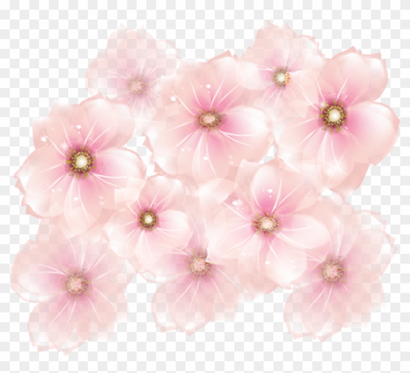 Pink Flower Clipart Transparent - Pink Flowers Transparent Background #299183