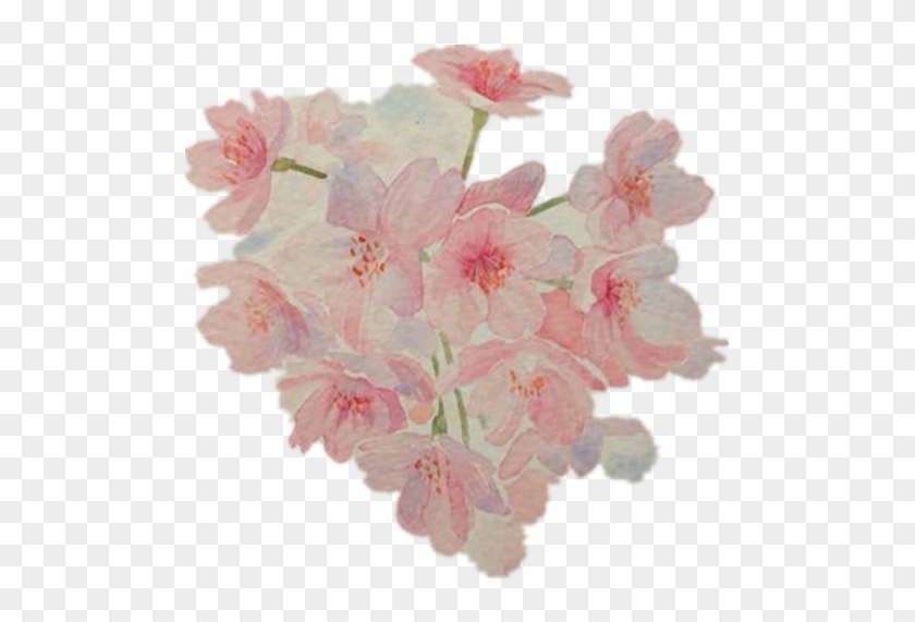 Cherry Blossom Pink Floral Design - Cherry Blossom Pink Floral Design #299268