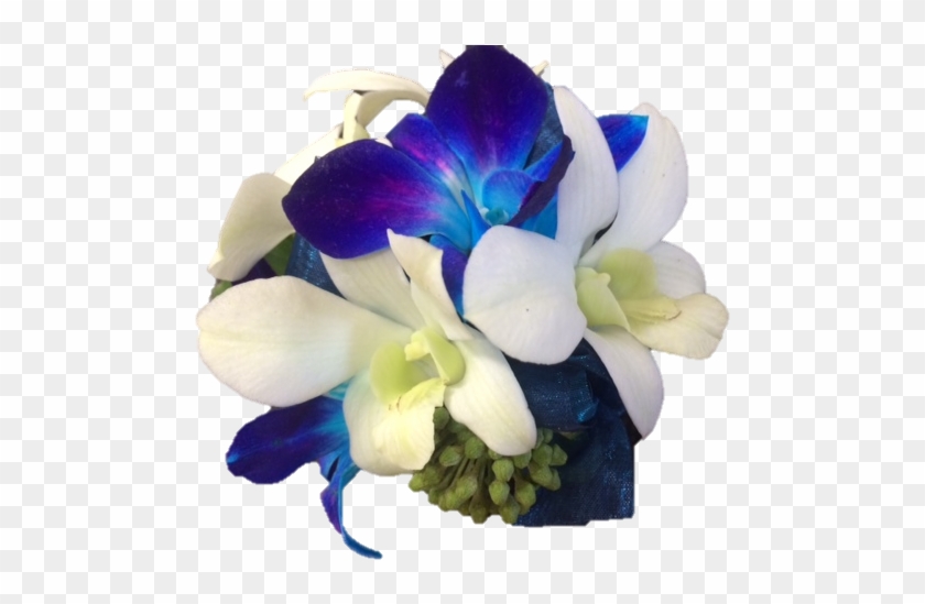 Blue & White Orchid Wrist Corsage - Blue Orchid Transparent #299232