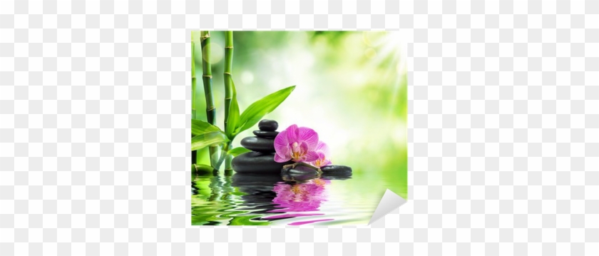 Orchids Black Stones And Bamboo On Water Sticker • - Orchids Water Bamboos #299248