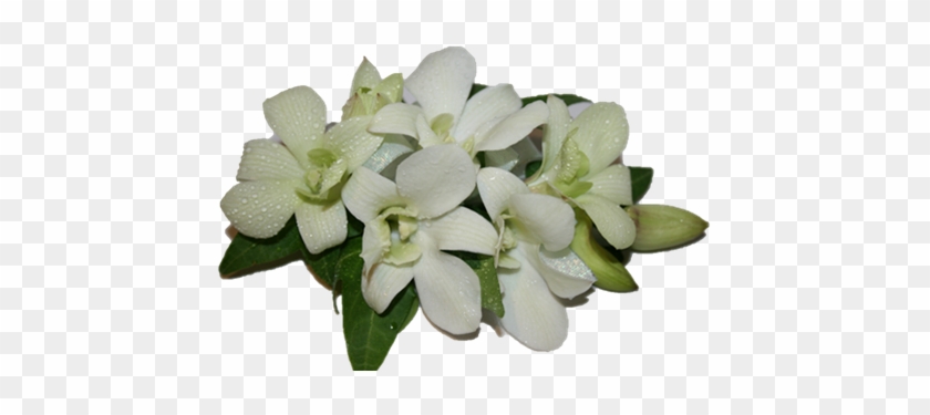Picture Of Fresh White Orchid Corsage - Orchid White In Corsage #299252