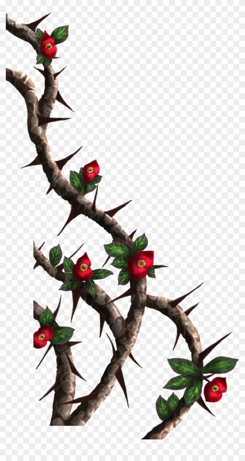 Drawn Rose Bush Thorn Bush - Roses With Thorns Png #299280