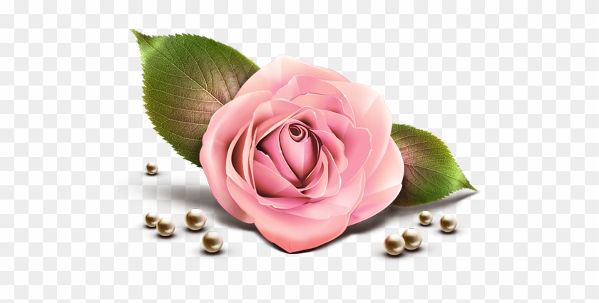 Pink Rose Clip Art - Rose With Pearl Png #299299
