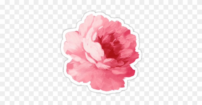 Pink Floral Design Png Flower Pink Peony - Vintage Png #299333