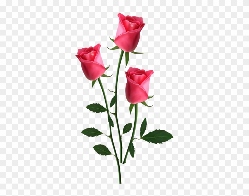 Pink Rose Clipart Small Rose - Pink Roses Png #299393