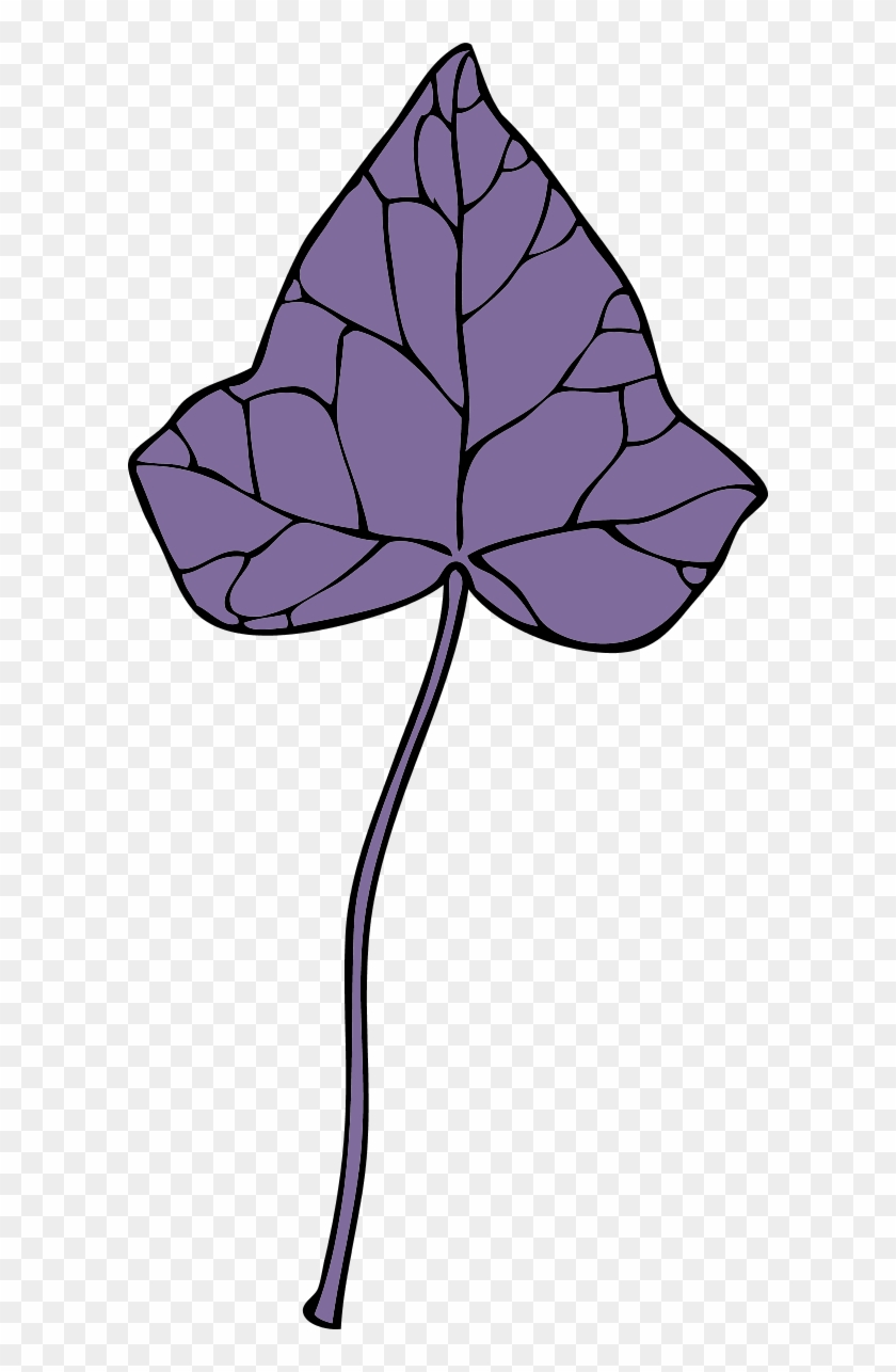 Large Ivy Leaf 7 0 7328 - Clip Art #299426