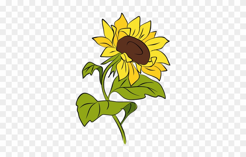 1 - Sunflower #299471