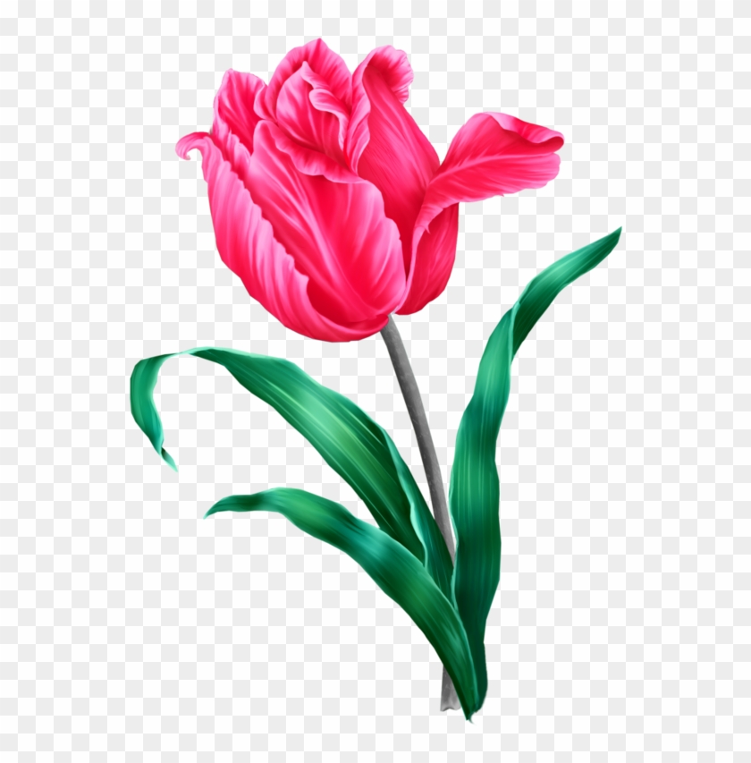 Clip Art - Flower #299489