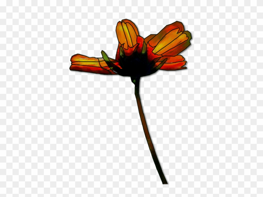 Weird Flower Png #299510