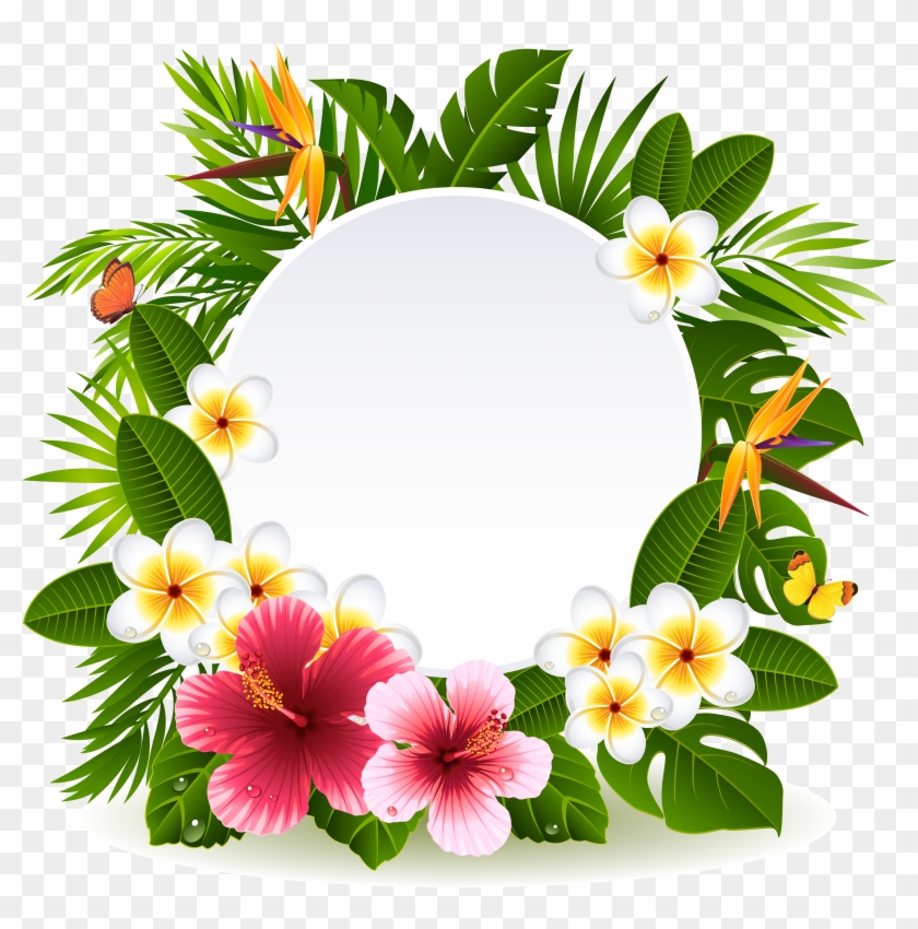 Flower Stock Photography Clip Art - Frame Tropical Png #299520