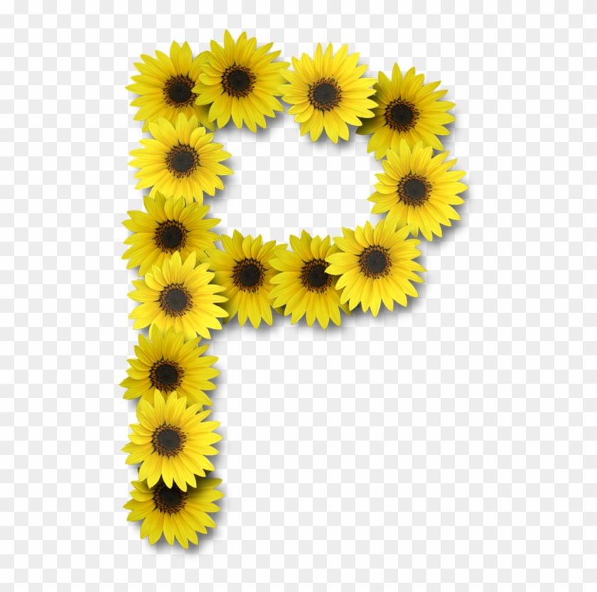Clip Art - Letter R With Sunflower #299517