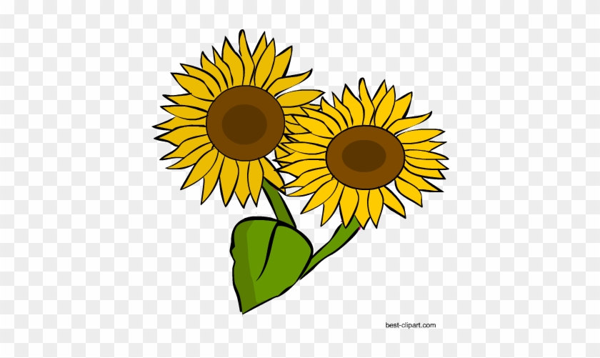 Two Sunflowers, Png Clip Art Image - Clip Art #299534