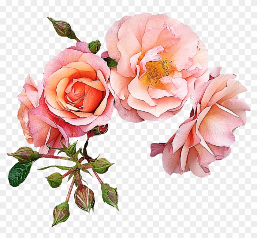 Garden Roses Flower Pink Clip Art - Wedding Day* Gold Love!!! #299600