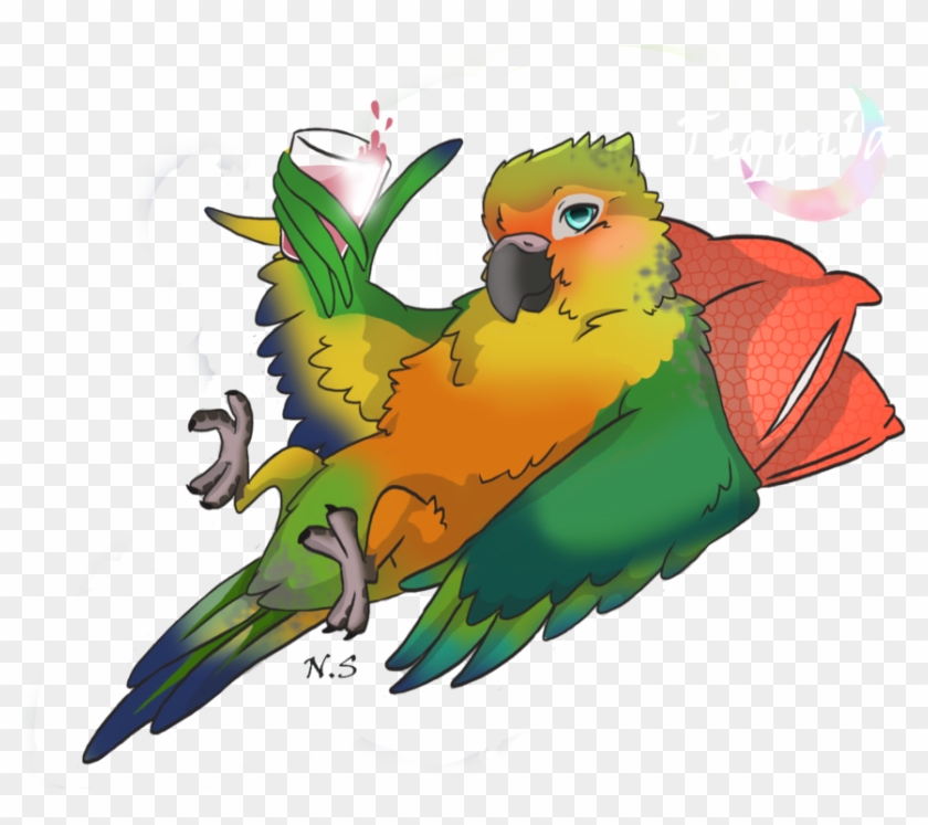 Tequila Sun Conure By Nonoloup On Deviantart Cute Bird - Cartoon Conure #299632