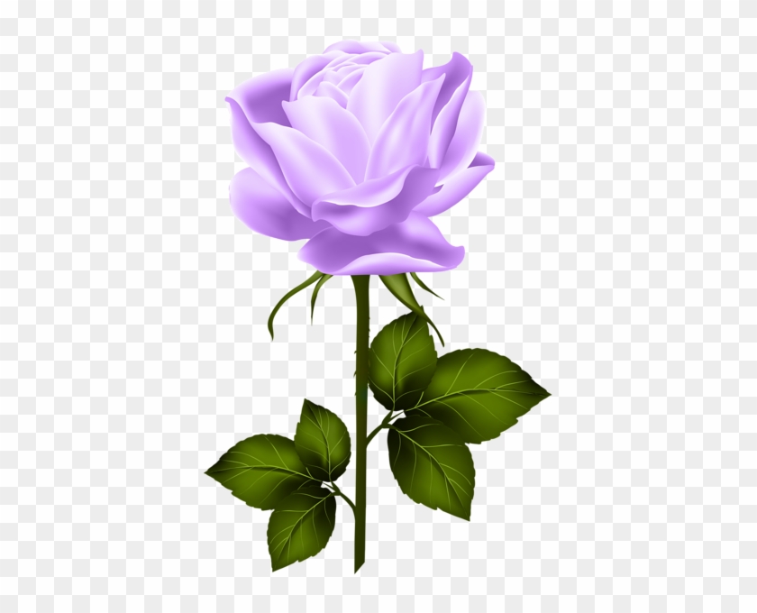 Purple Rose With Stem Png Clip Art - Rose Yellow Png #299636