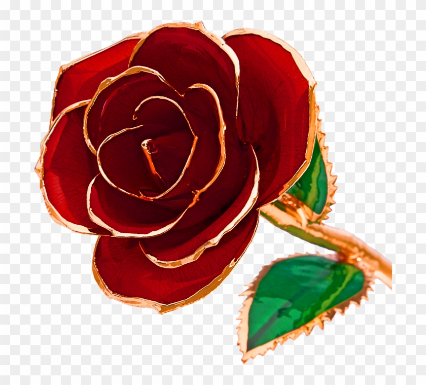 24k Gold-dipped Roses - 24 Karat Dipped Rose #299639
