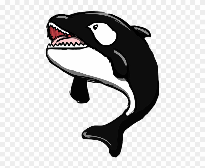Cartoon Whales Pictures 24, Buy Clip Art - Mammal #299641