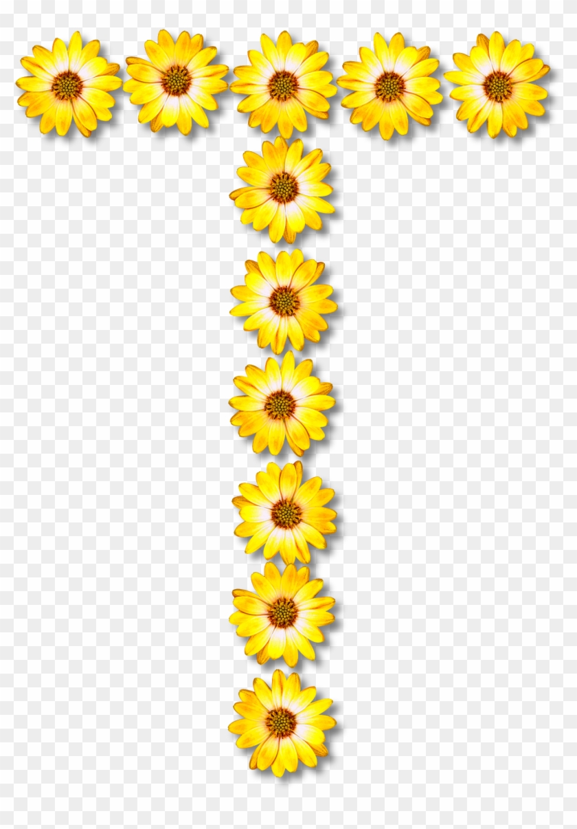 Big Image - Big Image #299648