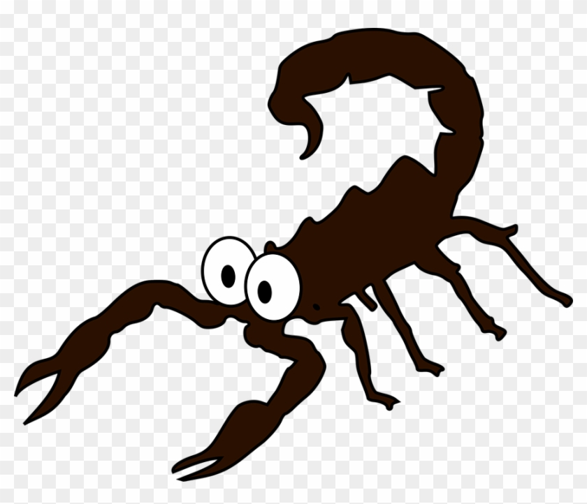 Spider Cartoon Images 24, Buy Clip Art - Escorpion Dibujo Png #299699