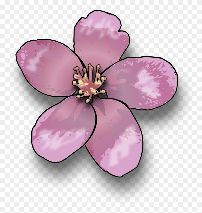 Apple Blossom - Flower Of A Tree Clipart #299706