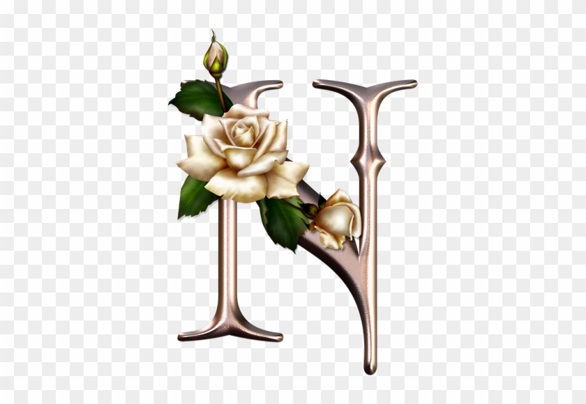 Alphabet Pink With Roses - Alfabeto Rosa Con Rosas #299778